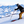 skier with ski sticks slides down slope in snowy ski area