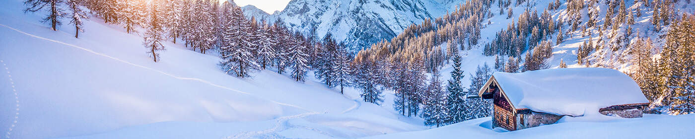 Ski Chalet Austria